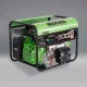 Cat-Gas-Portable-Generator